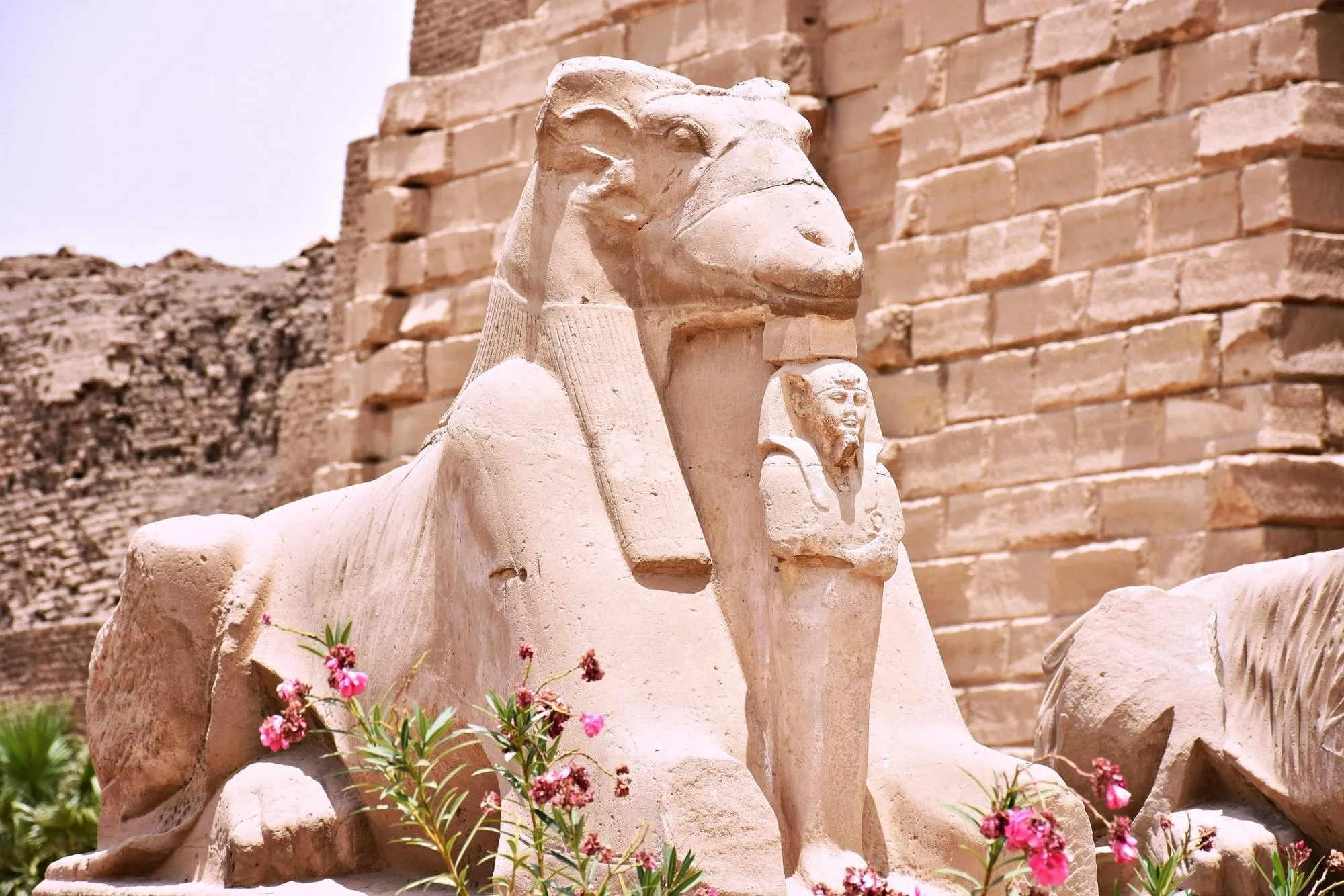 Hurghada Tours - Hurghada: Luxor Highlights Small-Group Tour & King Tut Tomb - Image 13