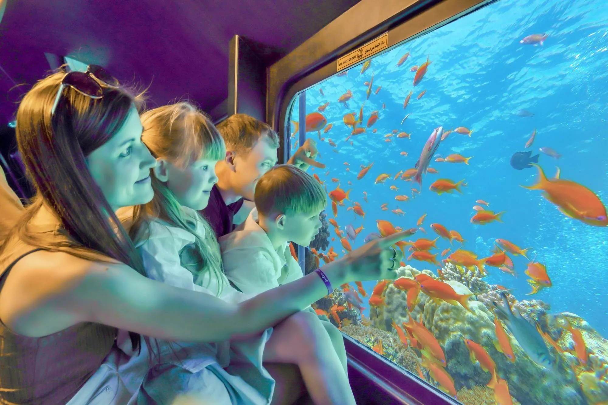 Hurghada Tours - Hurghada: Royal Seascope Semi Submarine & Snorkeling Tour - Image 5