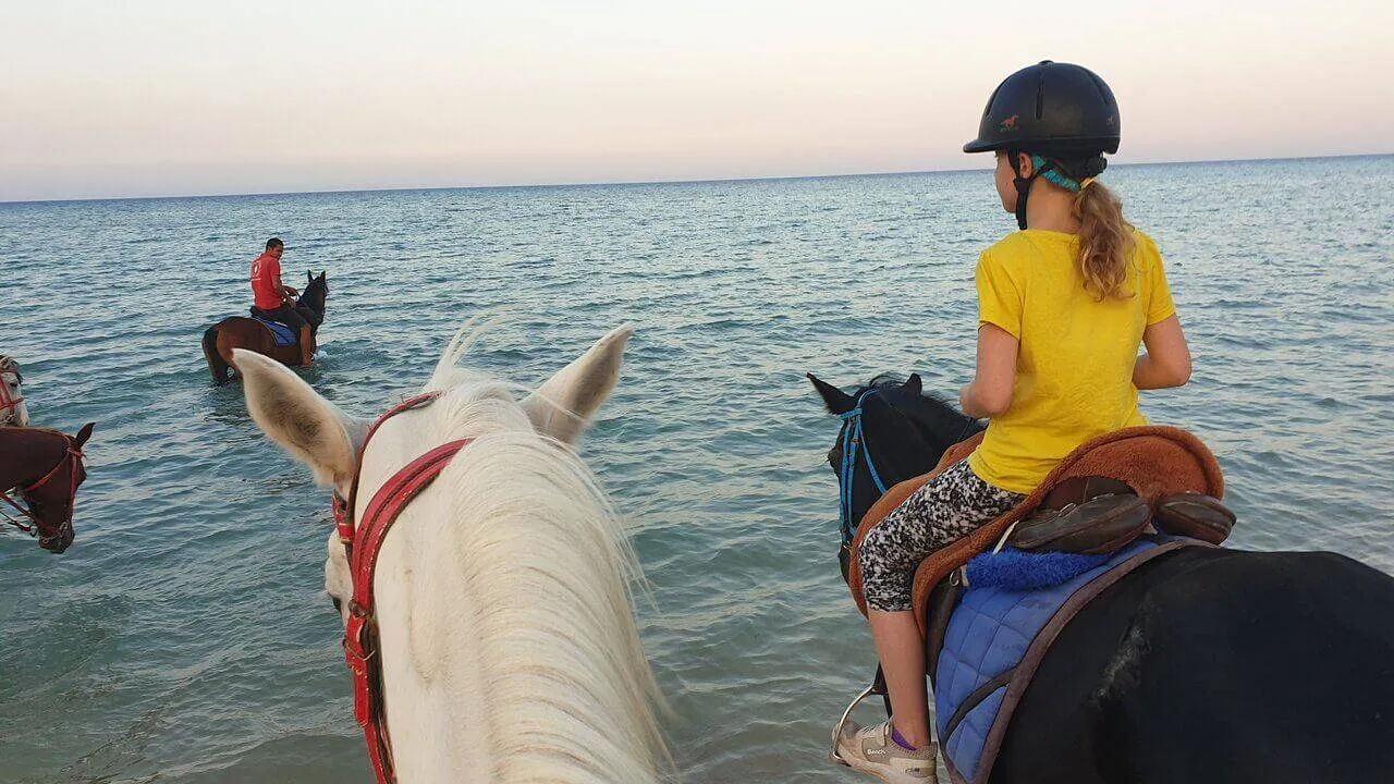Hurghada Tours - Hurghada: Horse Ride, Sea, Desert, Stargazing, Dinner Show - Image 4