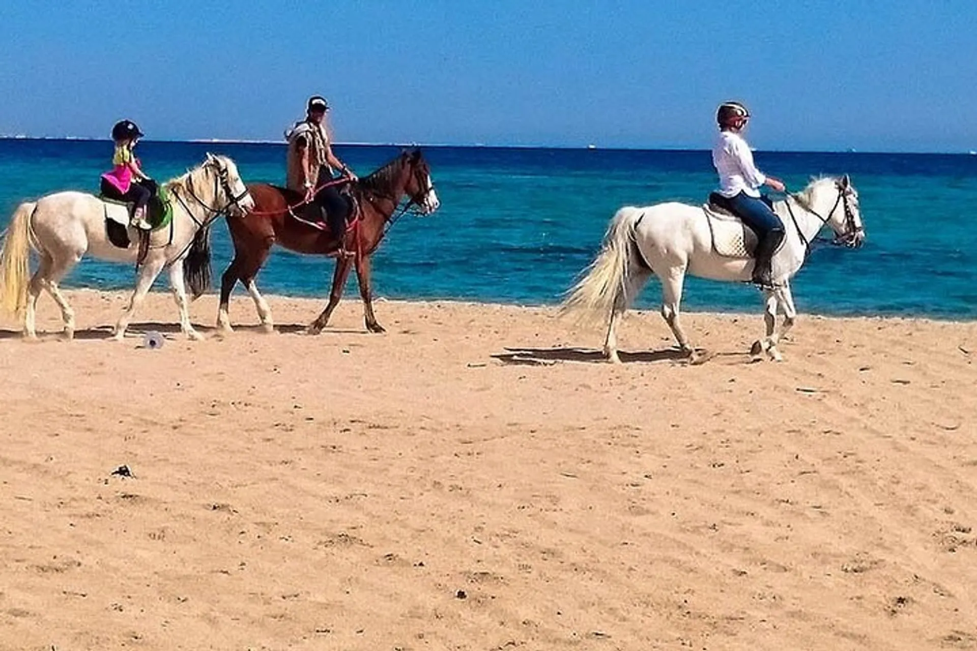 Hurghada Tours - Hurghada: Horse Ride, Sea, Desert, Stargazing, Dinner Show - Image 8