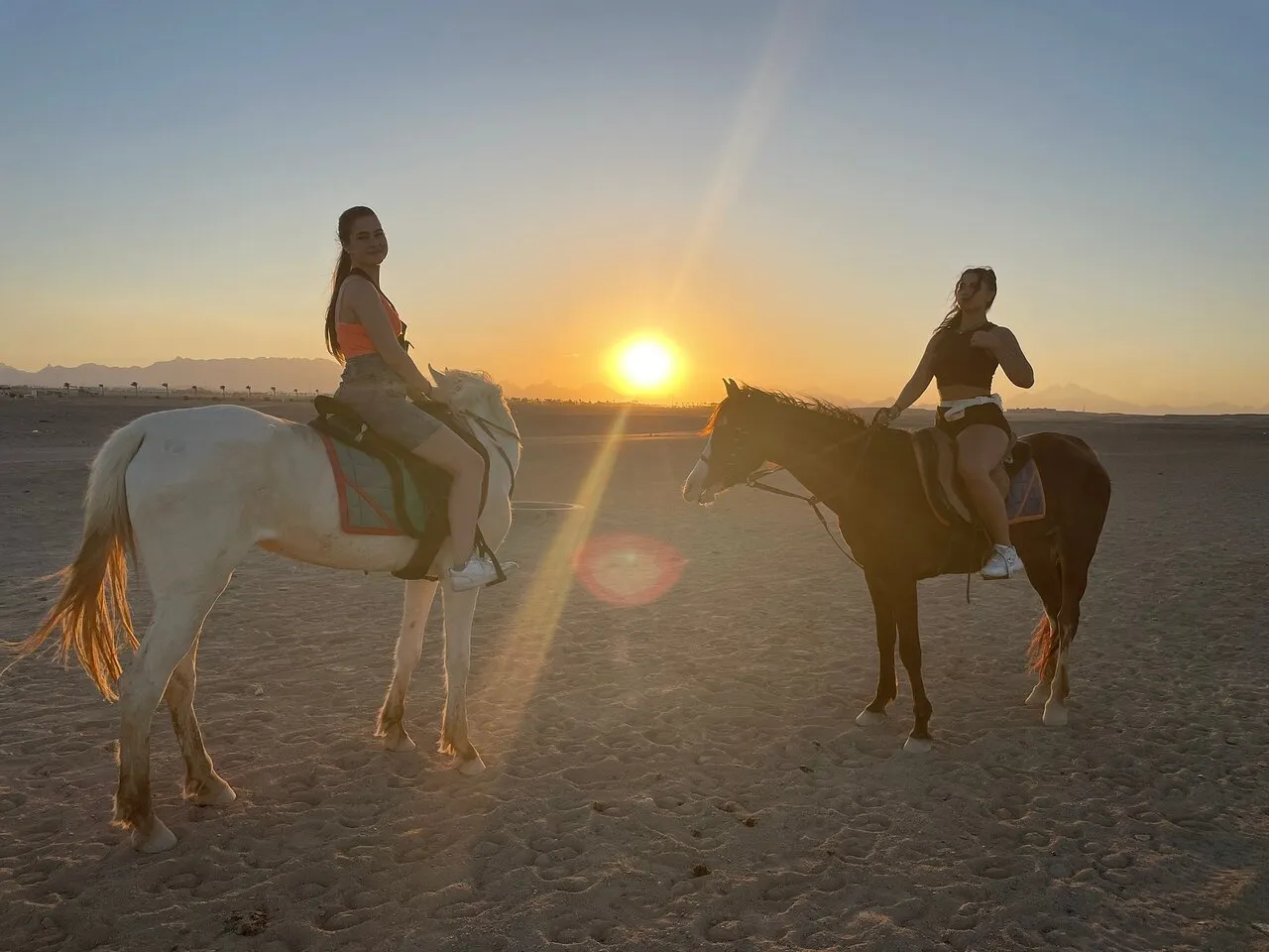 Hurghada Tours - Hurghada: Horse Ride, Sea, Desert, Stargazing, Dinner Show - Image 6