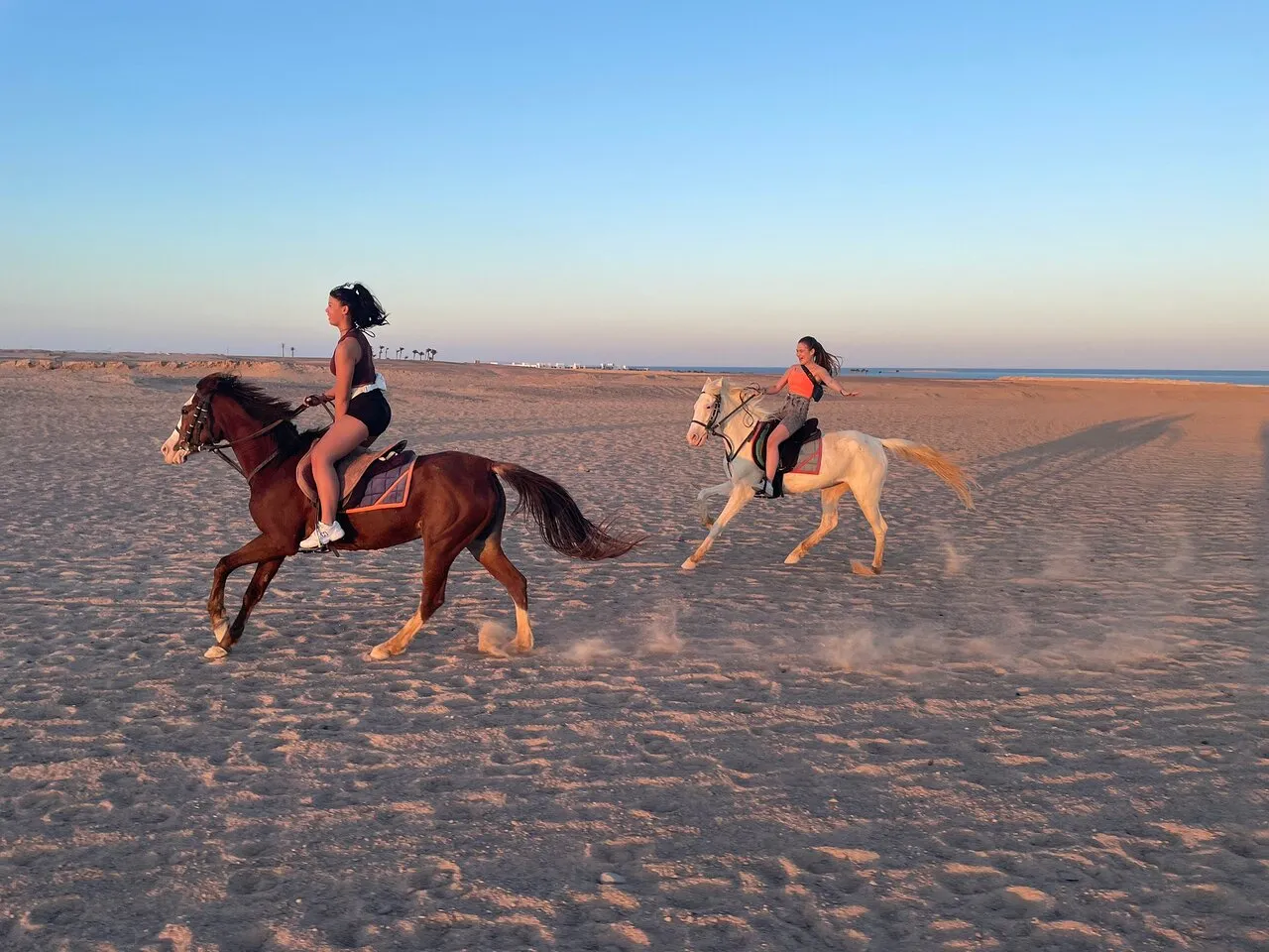 Hurghada: Horse Ride, Sea, Desert, Stargazing, Dinner Show