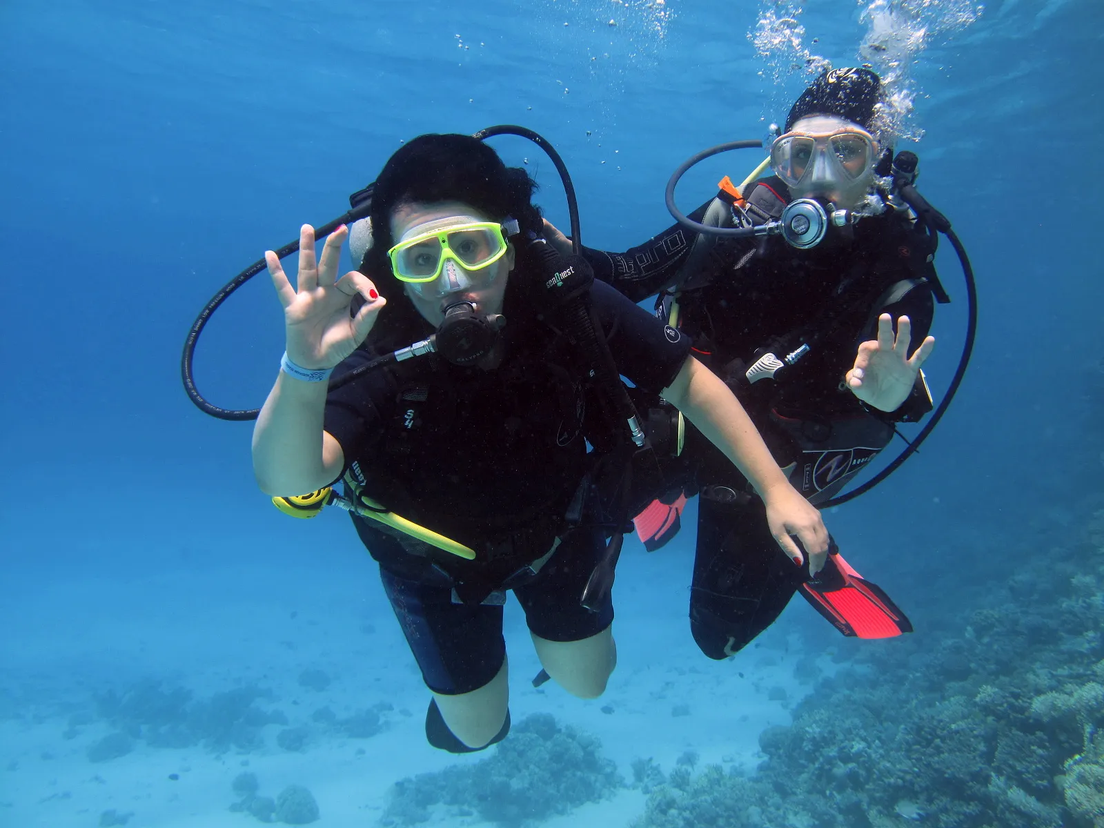 Hurghada Tours - Hurghada: Beginner Scuba Diving Tour with Two Dives & Lunch - Image 4