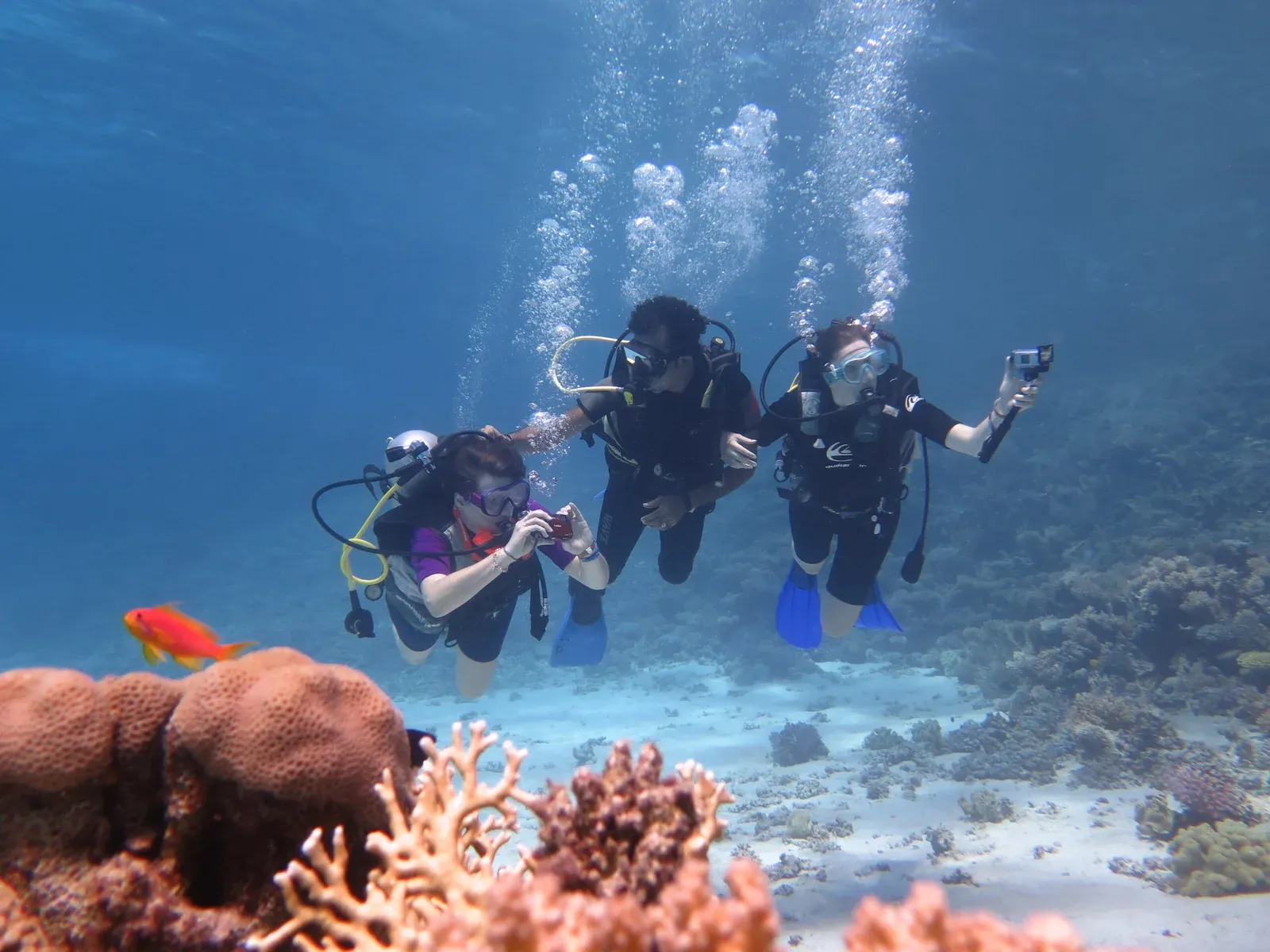 Hurghada Tours - Hurghada: Beginner Scuba Diving Tour with Two Dives & Lunch - Image 7