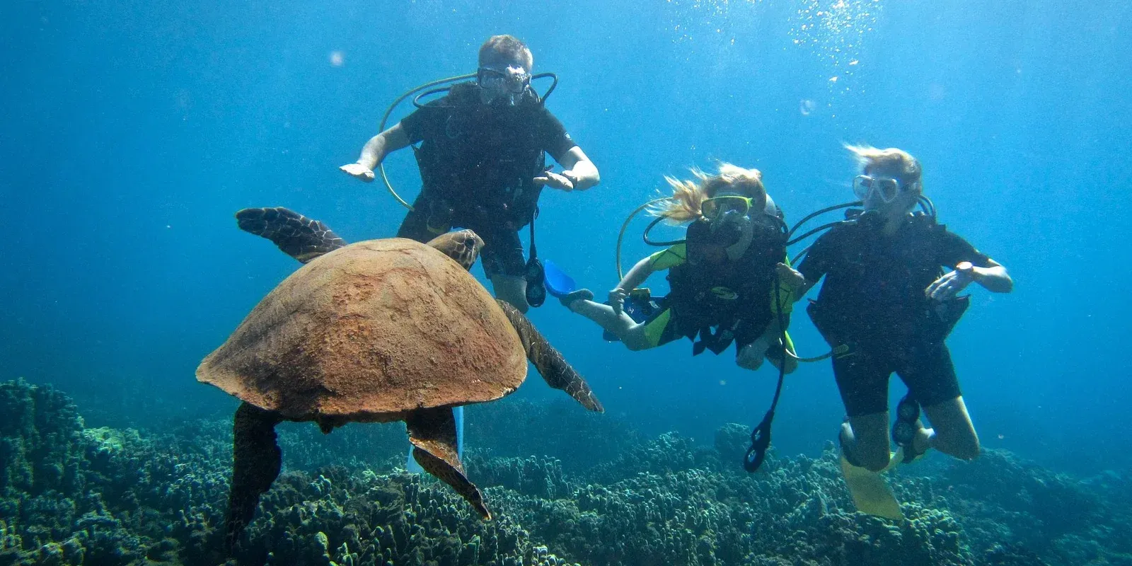 Hurghada Tours - Hurghada: Beginner Scuba Diving Tour with Two Dives & Lunch - Image 8