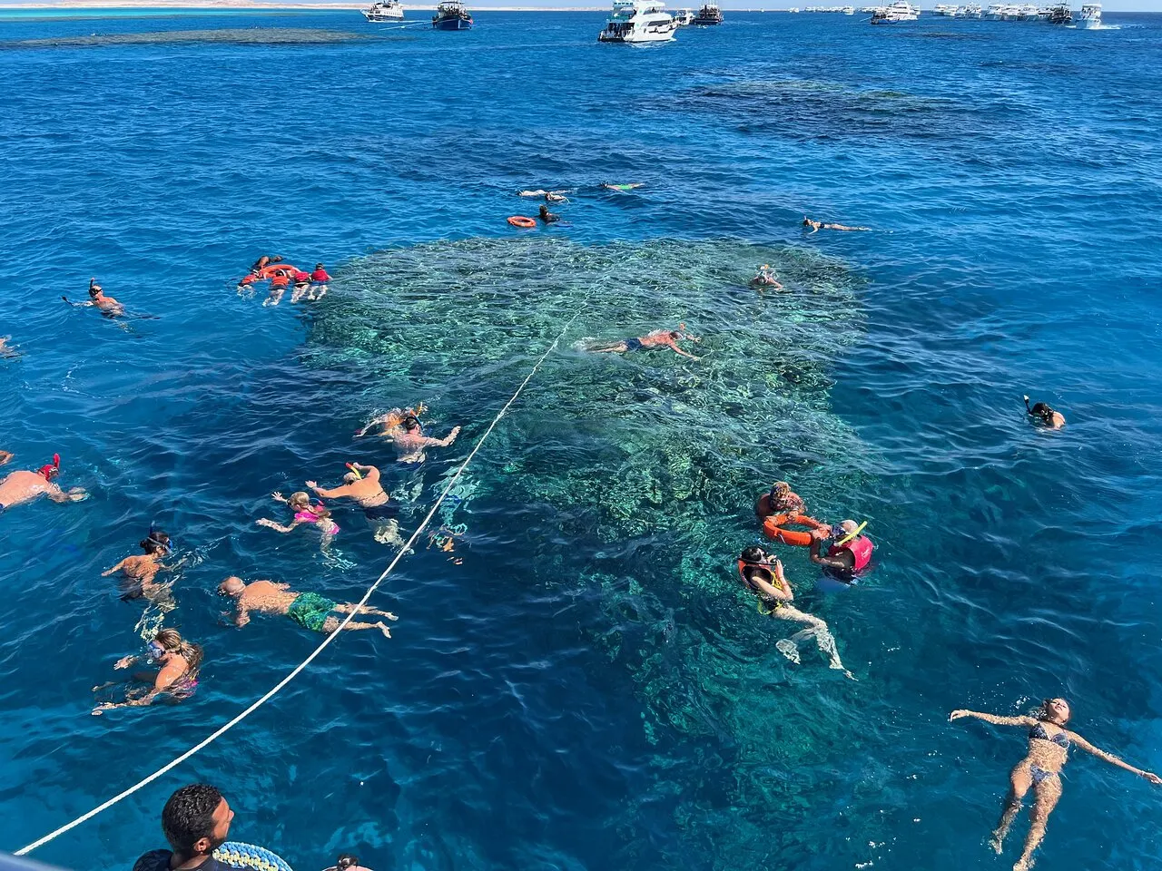 Sharm el-Sheikh Tours - Sharm El Sheikh: White Island, Ras Mohamed Snorkeling Cruise - Image 10
