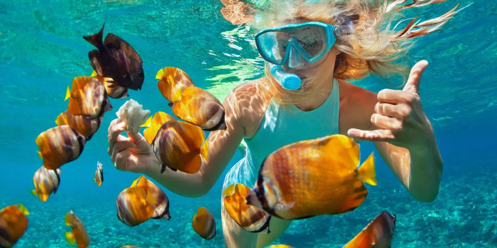 Sharm el-Sheikh Tours - Sharm El Sheikh: White Island, Ras Mohamed Snorkeling Cruise - Image 3