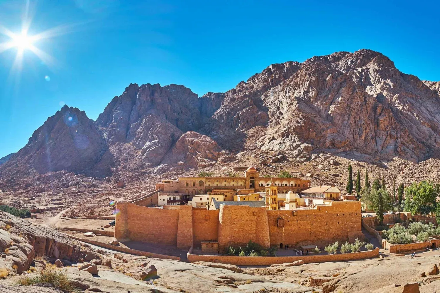 Sharm el-Sheikh Tours - From Sharm: Mount Sinai Sunrise Trek & Monastery Visit - Image 10