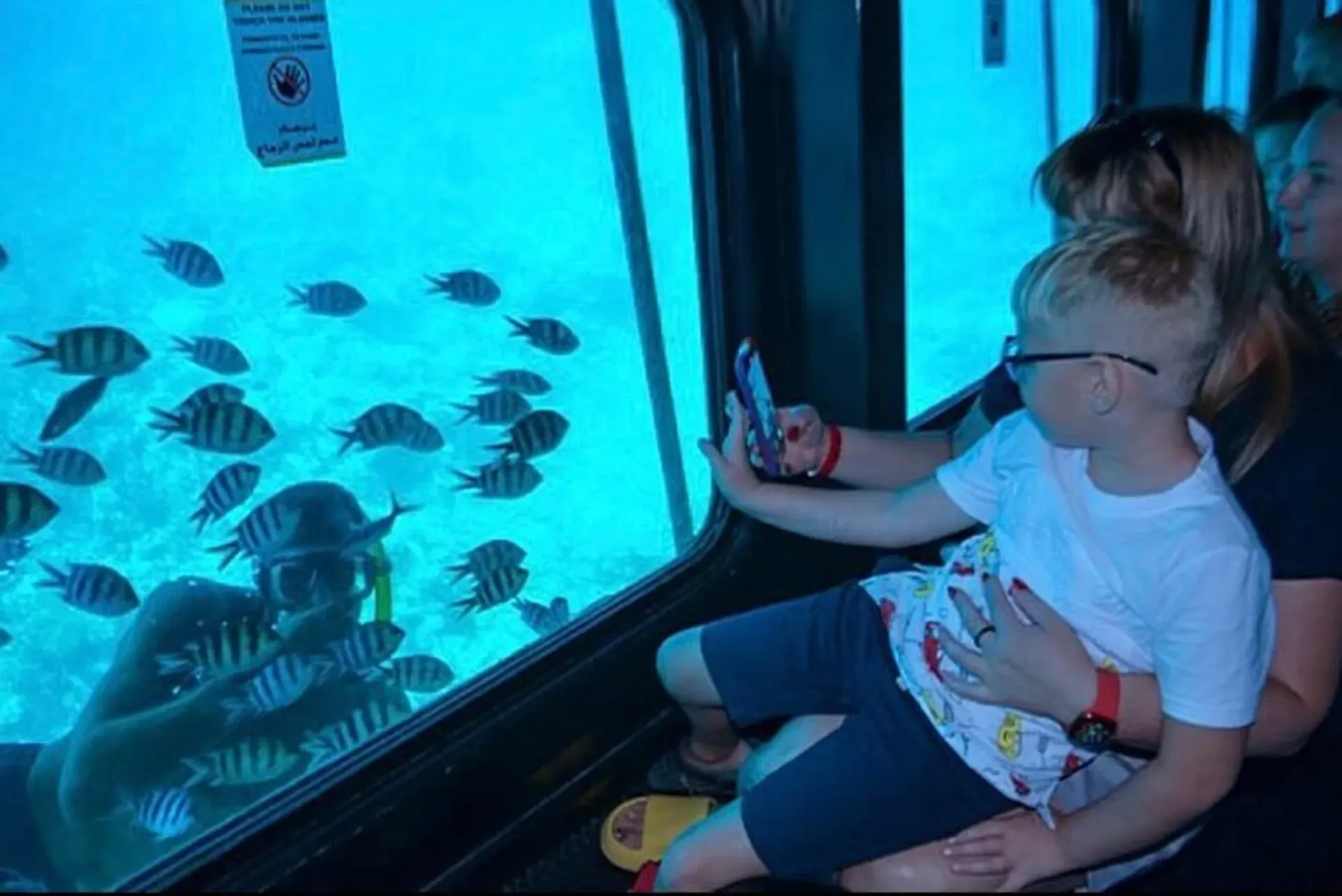 Sharm el-Sheikh Tours - Sharm El Sheikh: Seascope Submarine Cruise with Pickup - Image 4