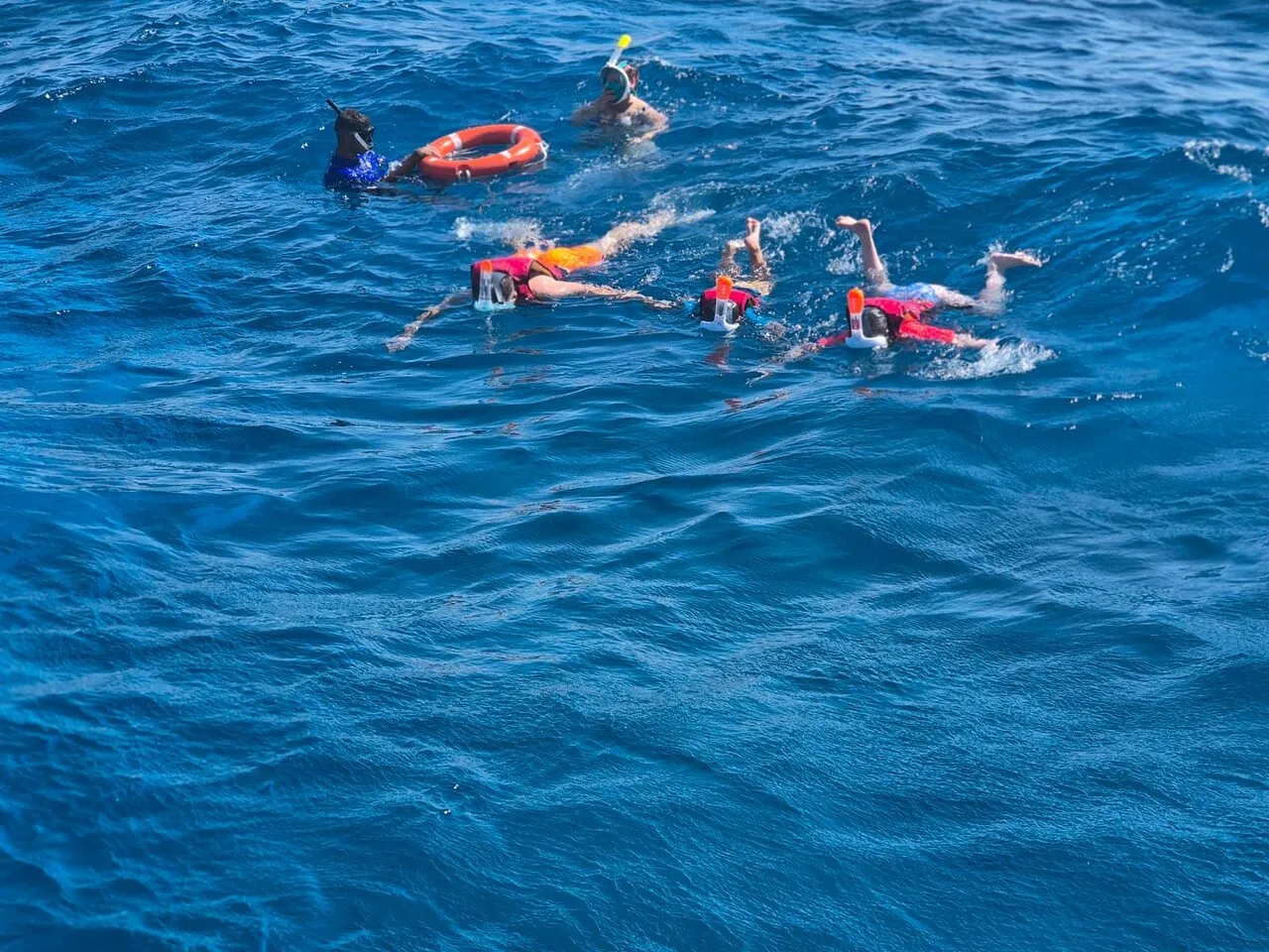 Sharm el-Sheikh Tours - Sharm El Sheikh: Seascope Submarine Cruise with Pickup - Image 9