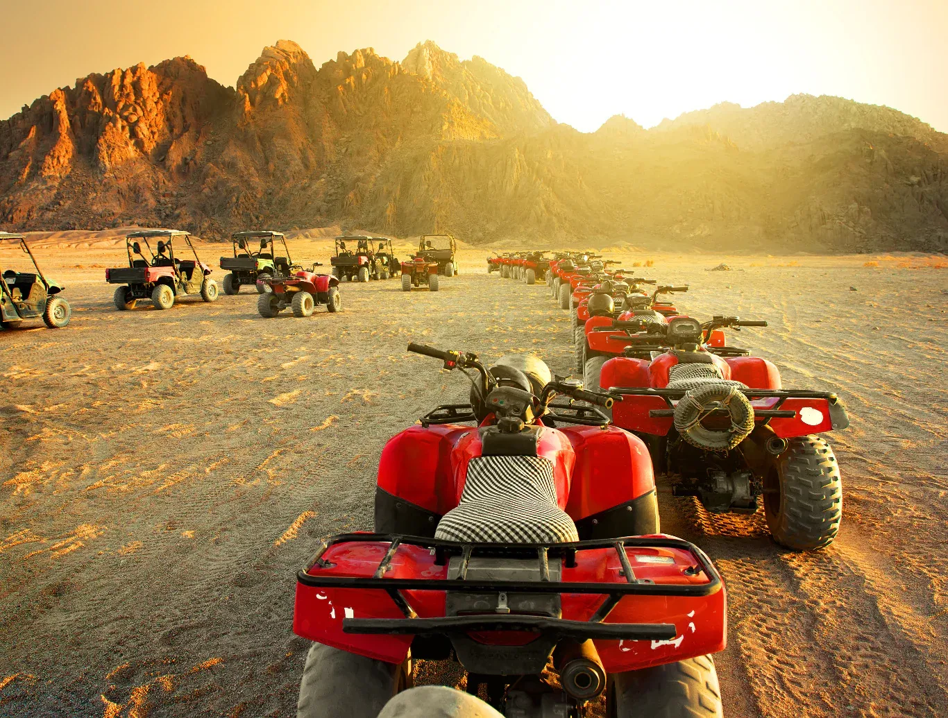 Sharm el-Sheikh Tours - From Sharm Desert Quad Safari Experience with Hotel Pick Up - Image 12