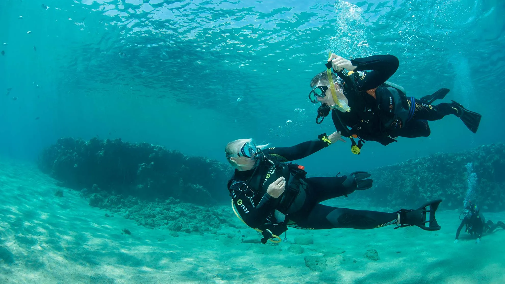 Sharm el-Sheikh Tours - Sharm El Sheikh: Red Sea Diving & Snorkeling Adventures - Image 4