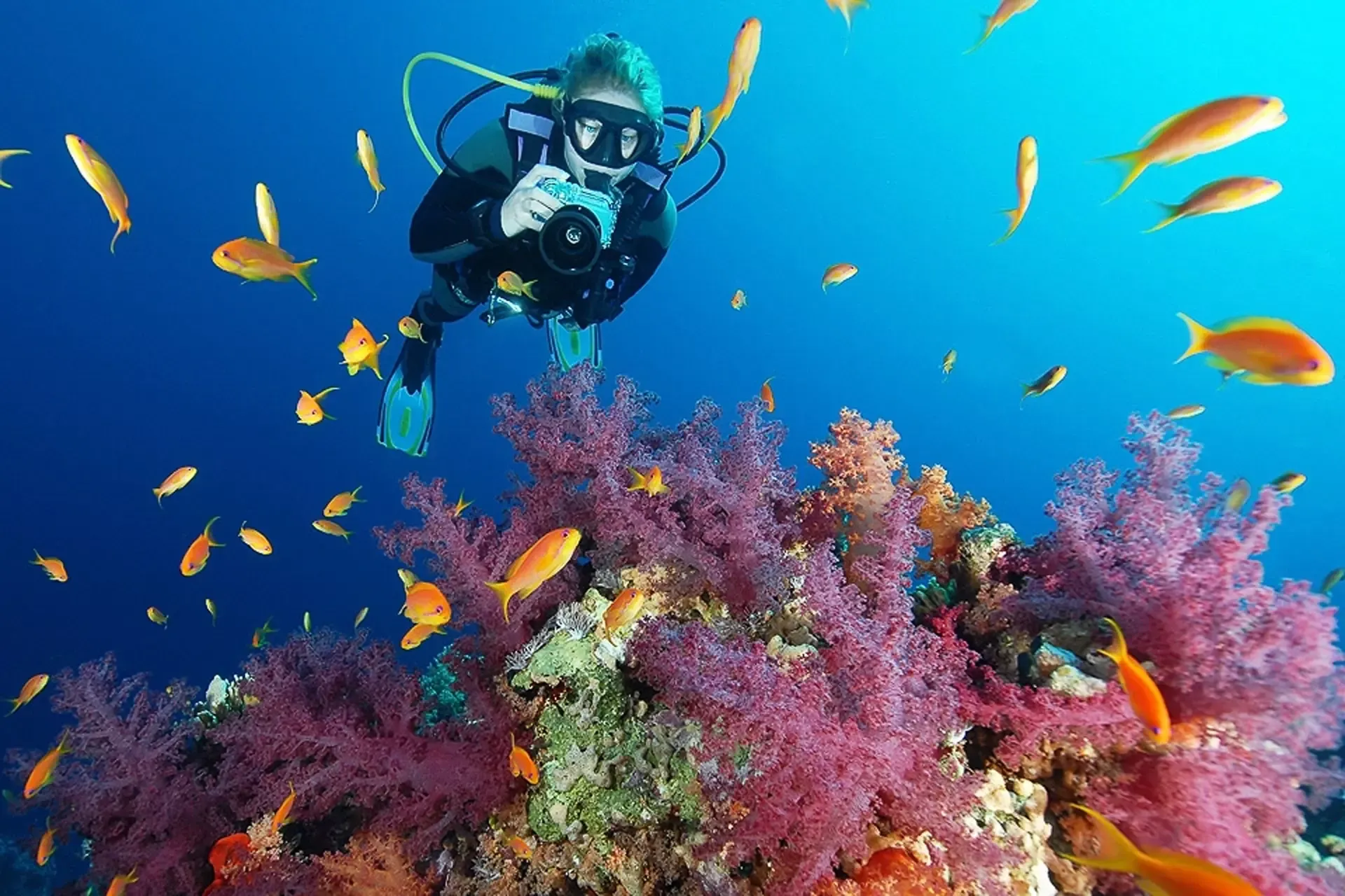 Sharm El Sheikh: Red Sea Diving & Snorkeling Adventures