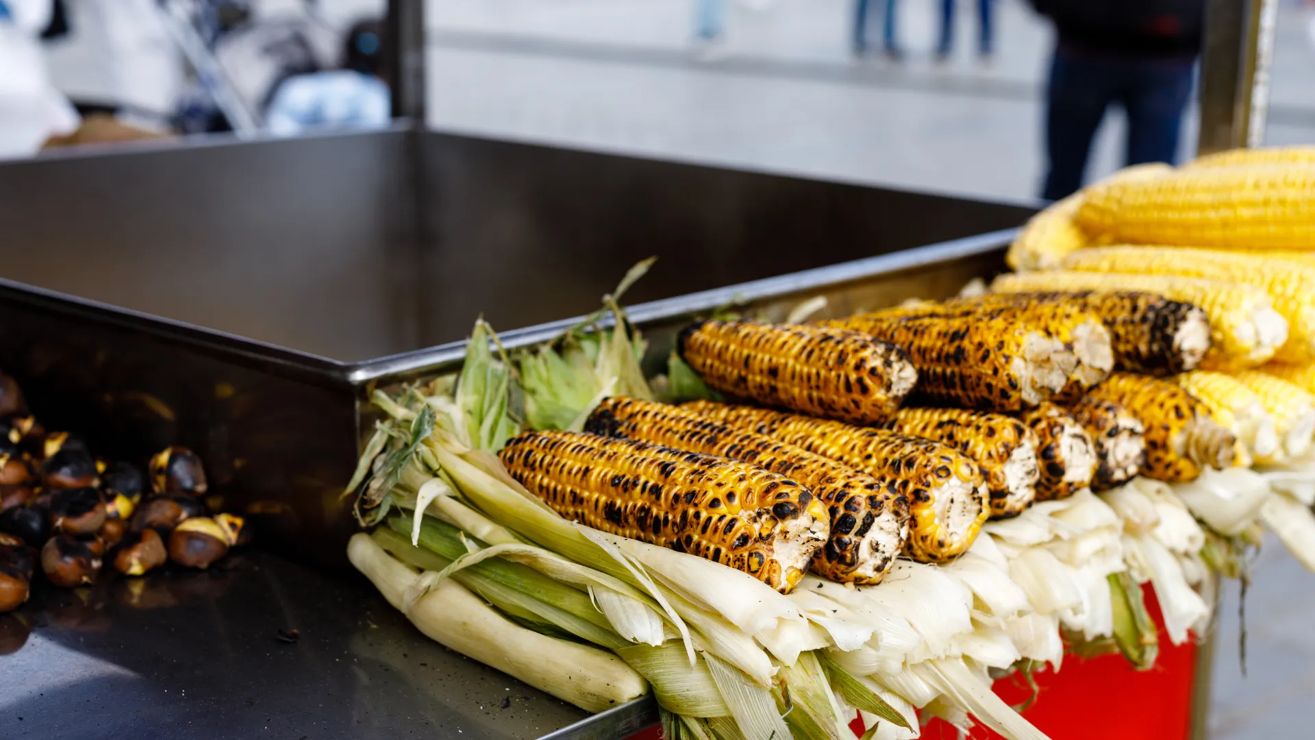 Istanbul Tours - Istanbul: Turkish Cuisine Night & Rooftop Experience - Image 5