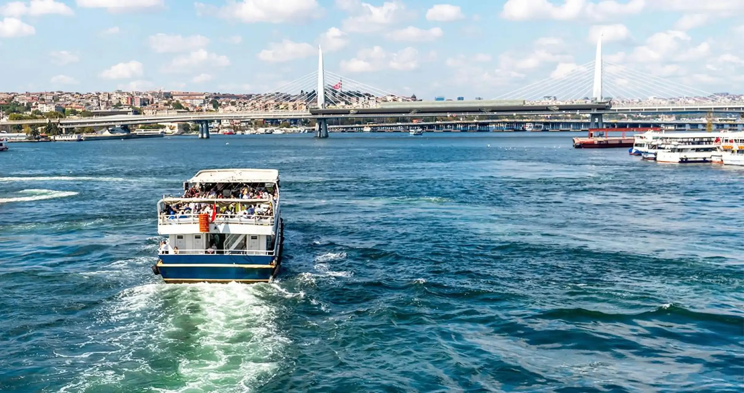 Istanbul Tours - Istanbul: Bosphorus Landmarks Tour with Ferry Experience - Image 15