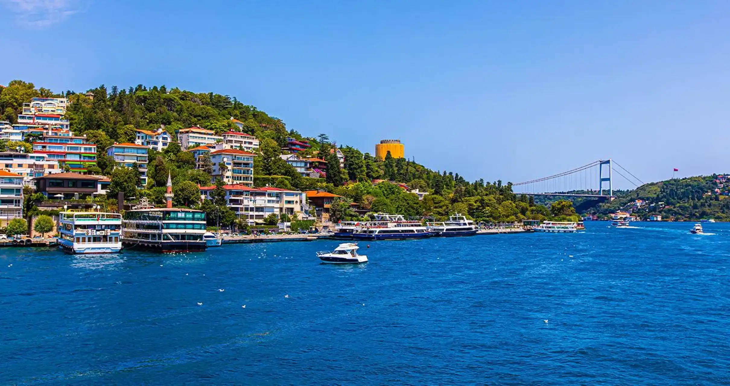 Istanbul Tours - Istanbul: Bosphorus Landmarks Tour with Ferry Experience - Image 14
