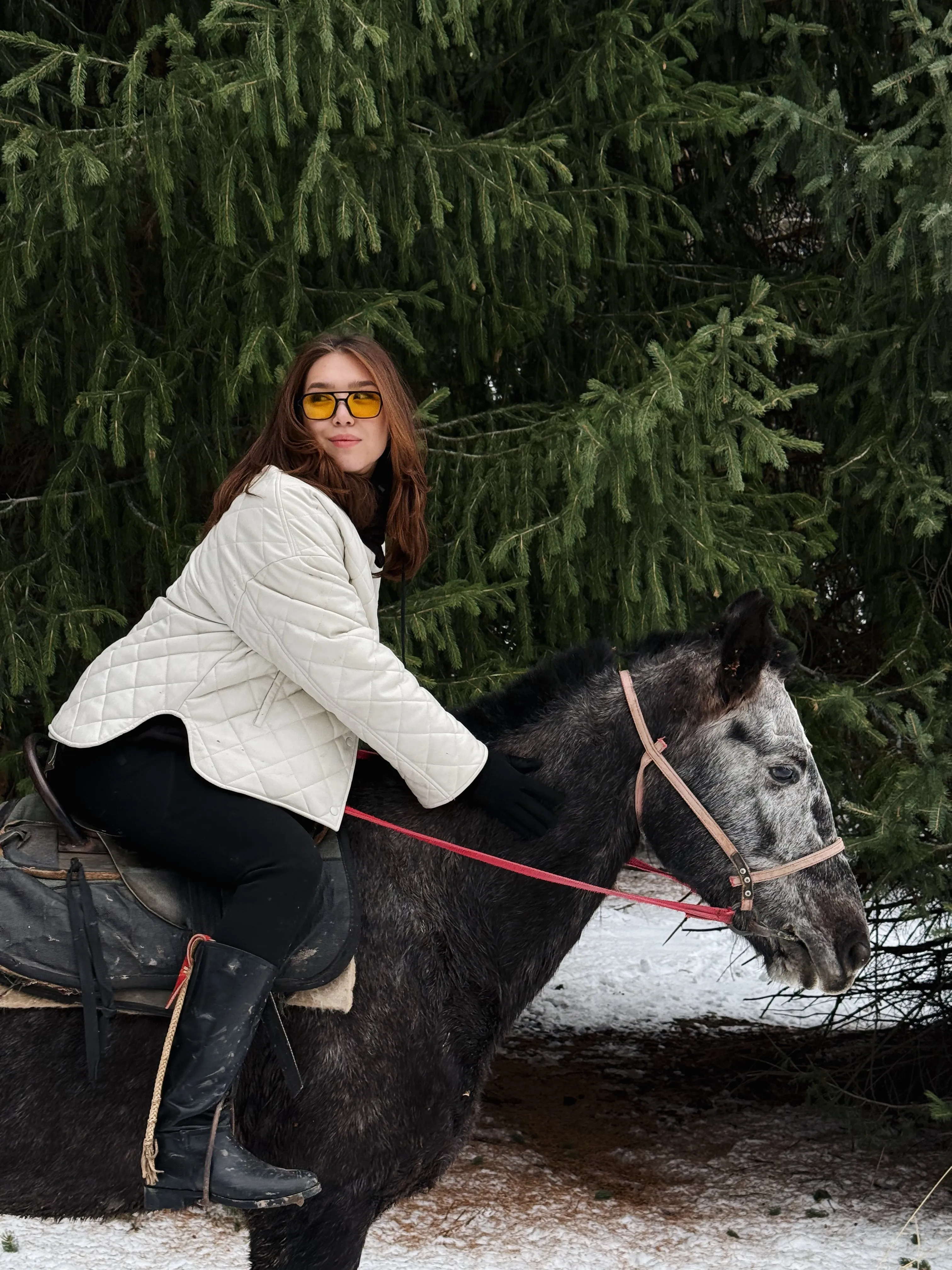 Almaty City Tours - Almaty: Nomad Horseback Ride in Ili Alatau - Image 7