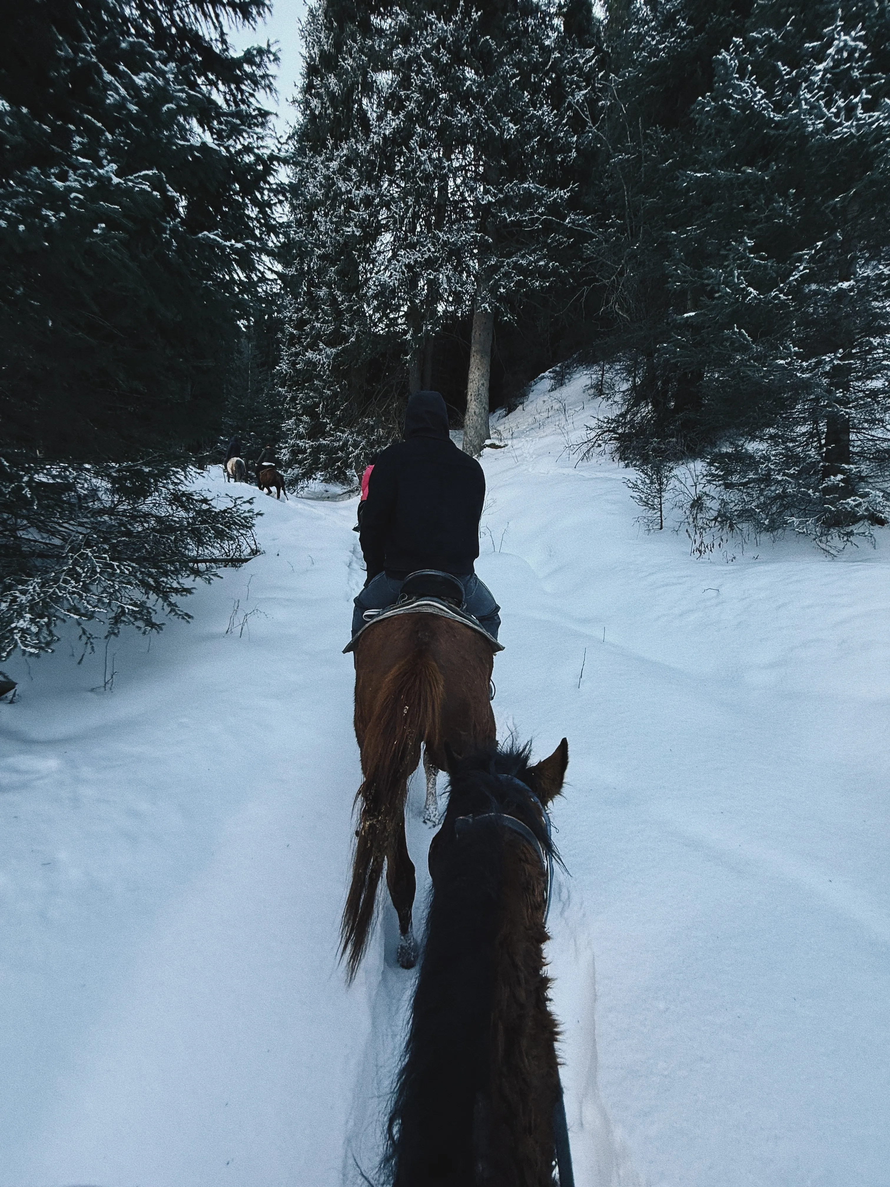 Almaty City Tours - Almaty: Nomad Horseback Ride in Ili Alatau - Image 9